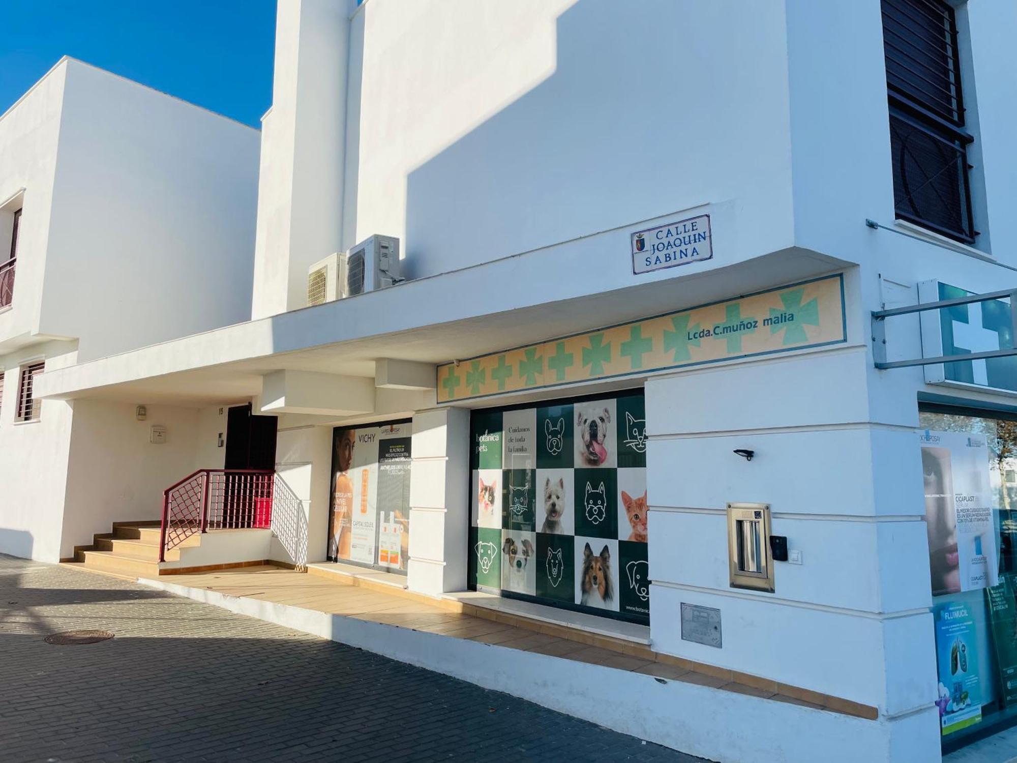 Atico Premium Conil Con 2 Terrazas, Parking, Piscina, Aire Ac Y Wifi -Solo Familias Y Parejas- Apartment โกนิล เด ลาฟรอนเตรา ภายนอก รูปภาพ